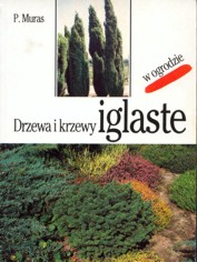 Drzewa i krzewy iglaste 
