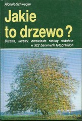 Jakie to drzewo