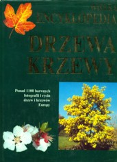 Wielka encyklopedia. Drzewa, krzewy 