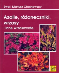 Azalie, r�aneczniki, wrzosy 