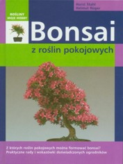 Bonsai z roslin pokojowych