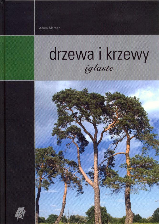 Katalog: Drzewa i krzewy iglaste