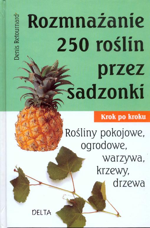 Rozmna�anie 250 ro�lin przez sadzonki