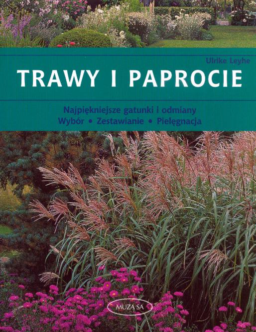 Trawy i paprocie